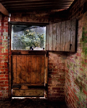 Tyddyn Mon Residency - Stabledoor