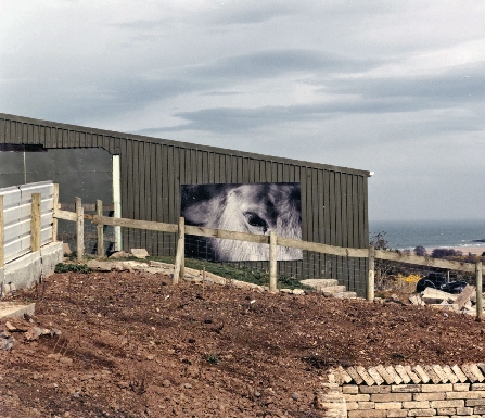 Tyddyn Mon Residency - 1